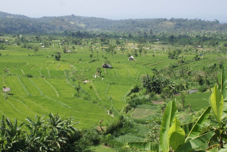 Landschap Indonesië