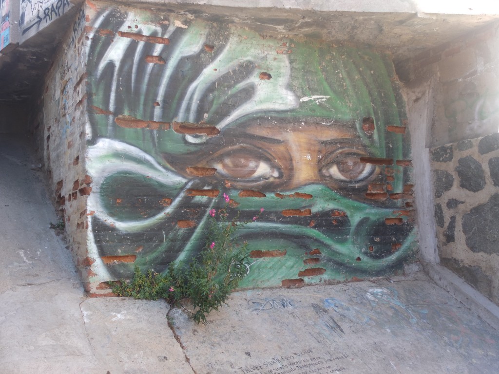 Valparaiso Graffiti - Streetart