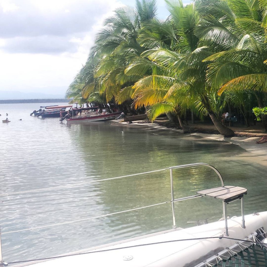 Bocas del Toro starfish beach