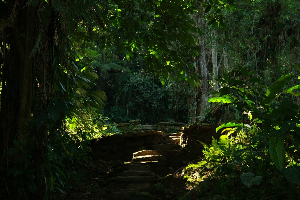 Trappen Ciudad perdida