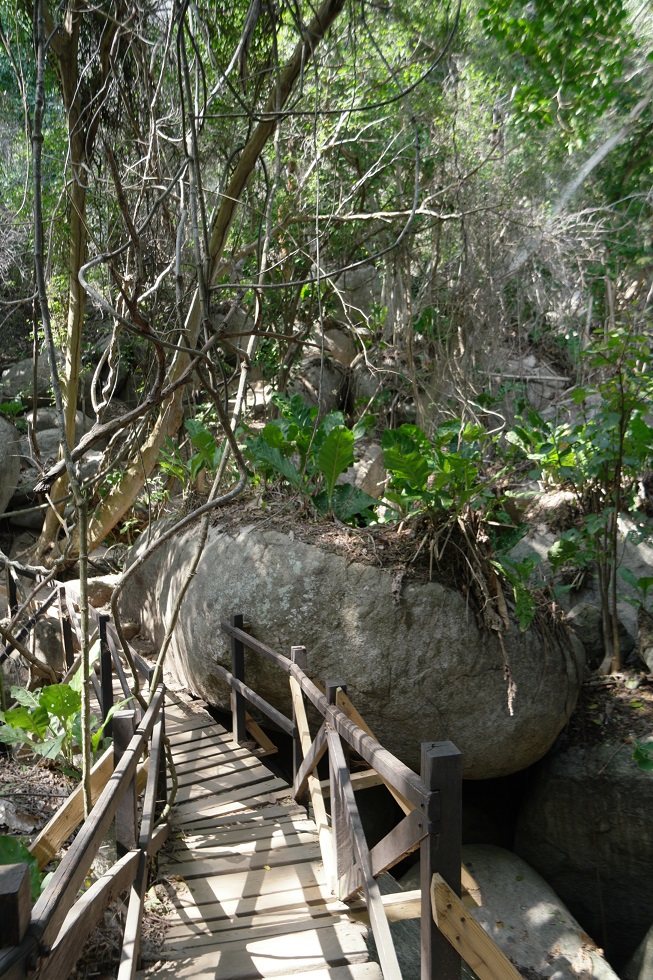 Pad tayrona nationaal park