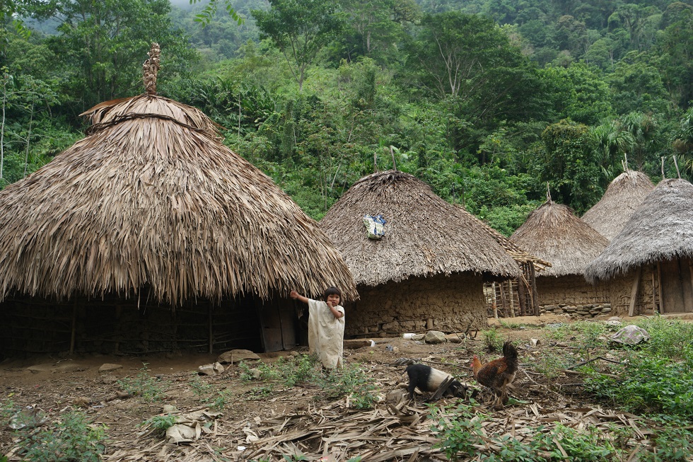 Inheemse volkeren Colombia