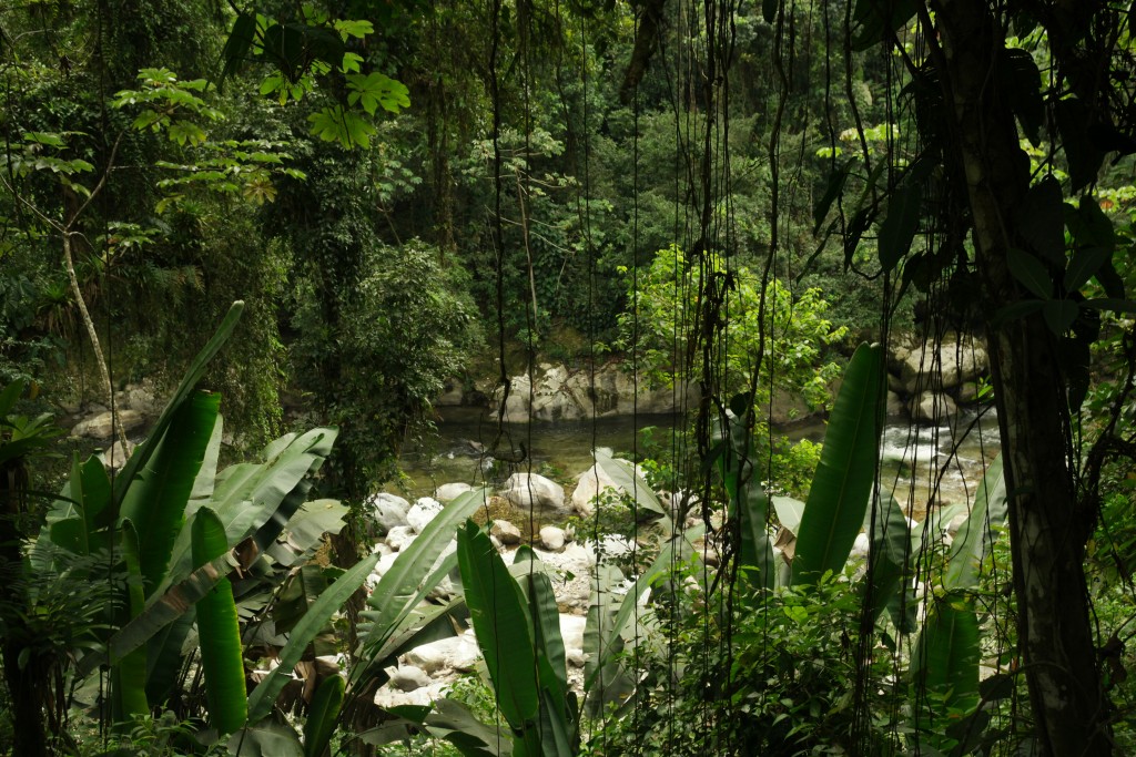 Natuur Colombia