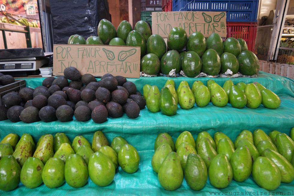 avocado Colombia Aguacate