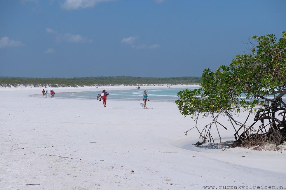 Tortuga bay strand Galapagos