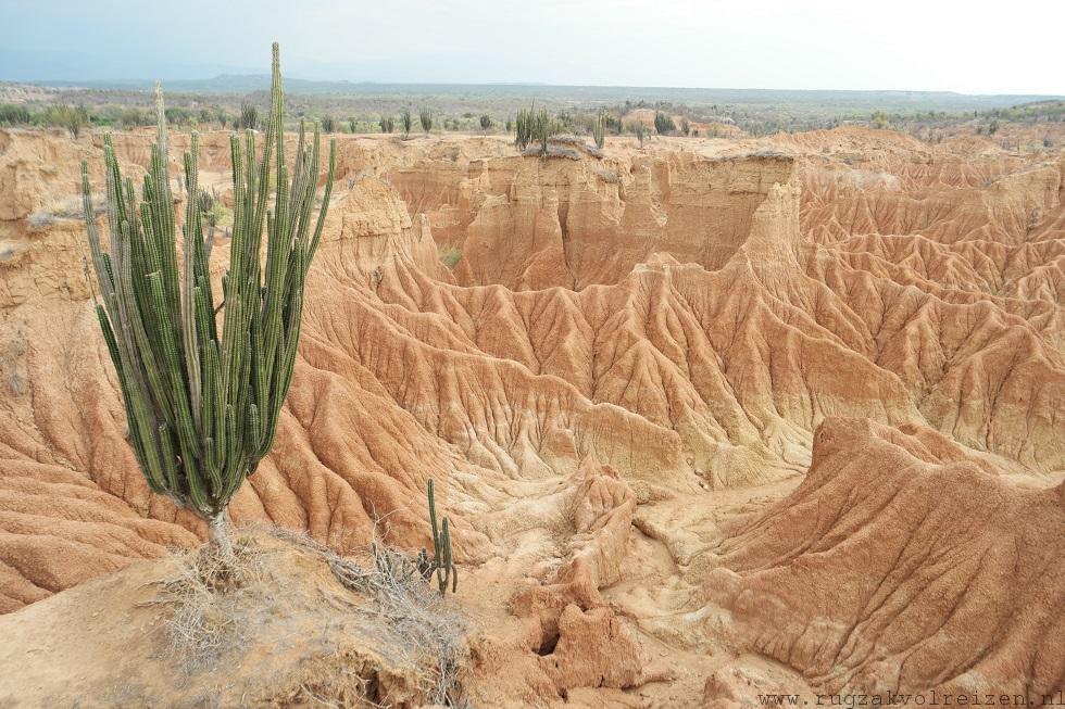 desierto tatacoa woestijn Colombia