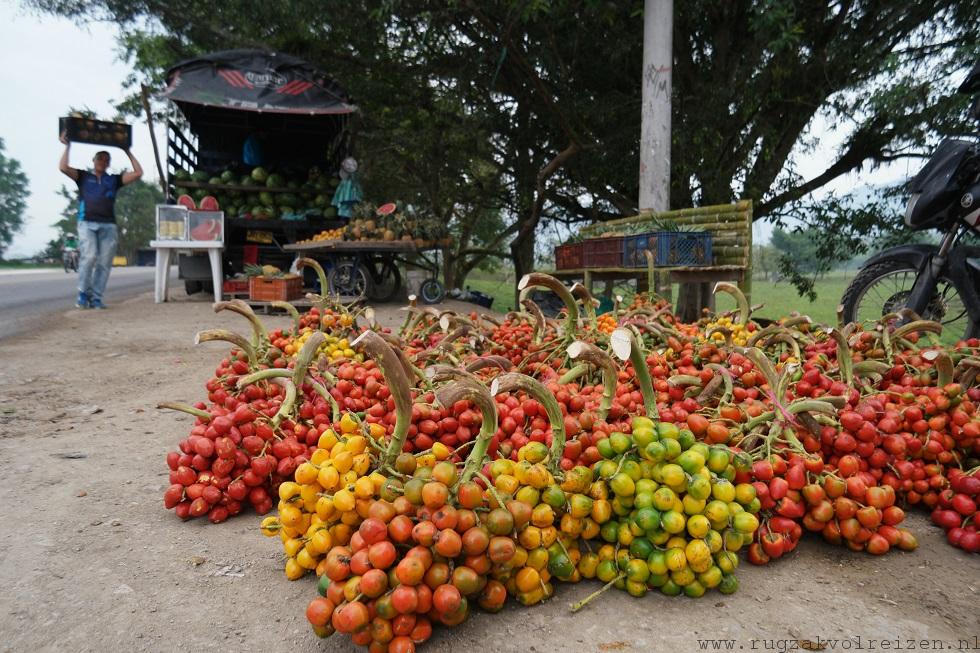 fruitsoorten Colombia tomates de arbol