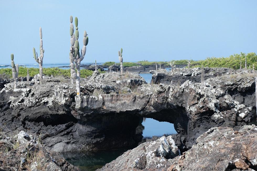 Isabela Los Tuneles Galapagos tour