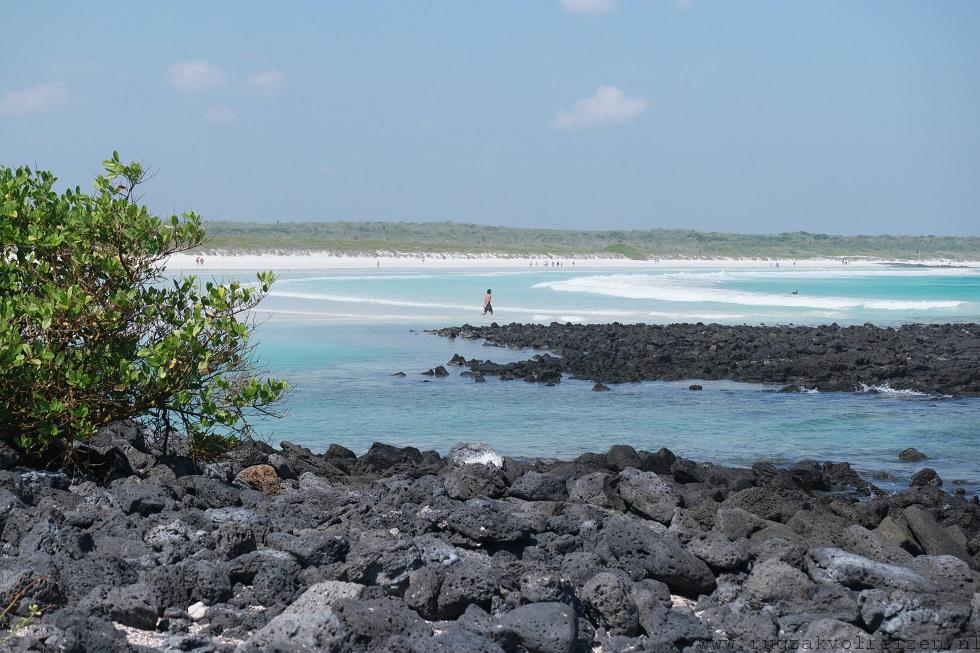 Tortuga bay strand Galapagos Santa Cruz