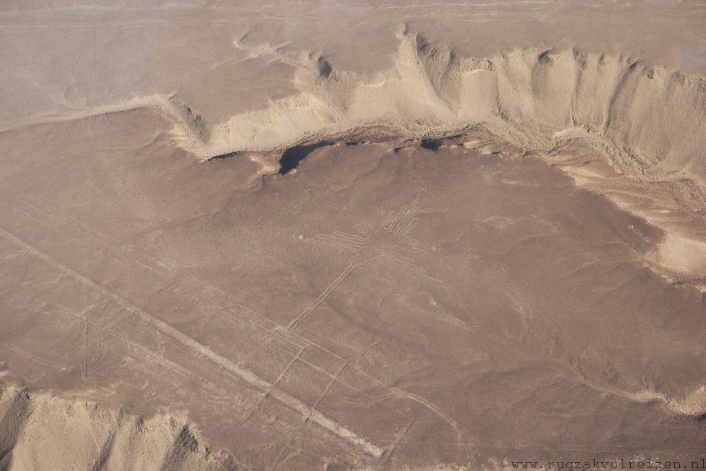 Vliegen Nazca lijnen 4