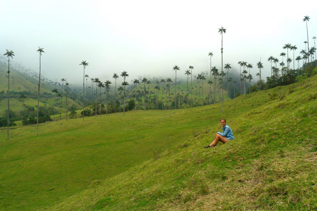 Valle de Cocora