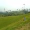 Valle de Cocora