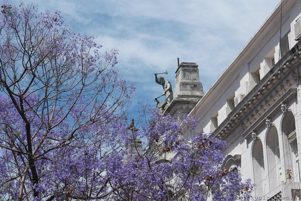 Lente in Buenos Aires