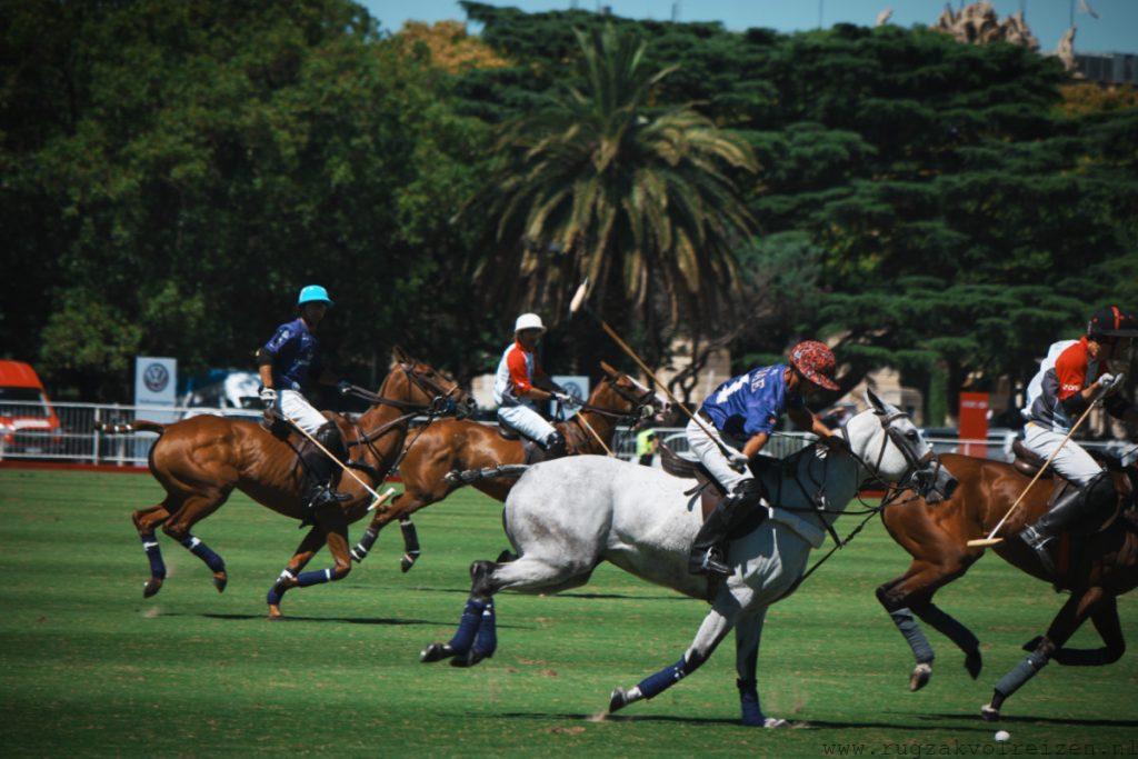 Polo wedstrijd Buenos Aires