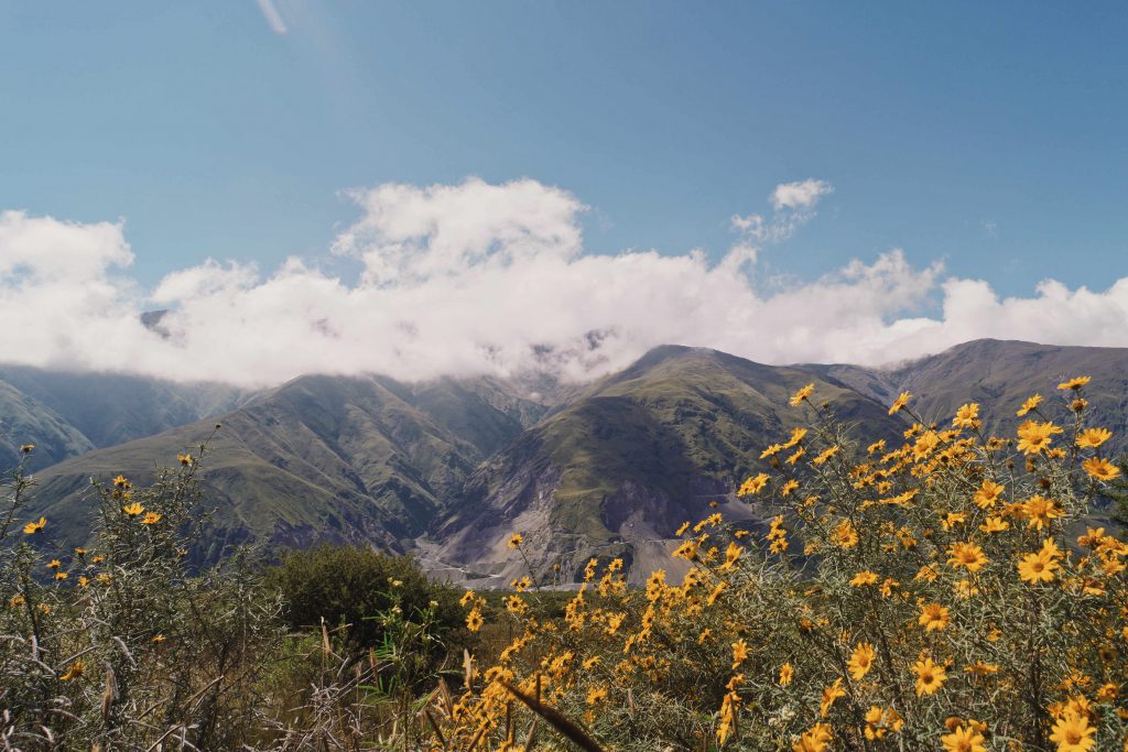 Bergen - Roadtrip Salta en Jujuy